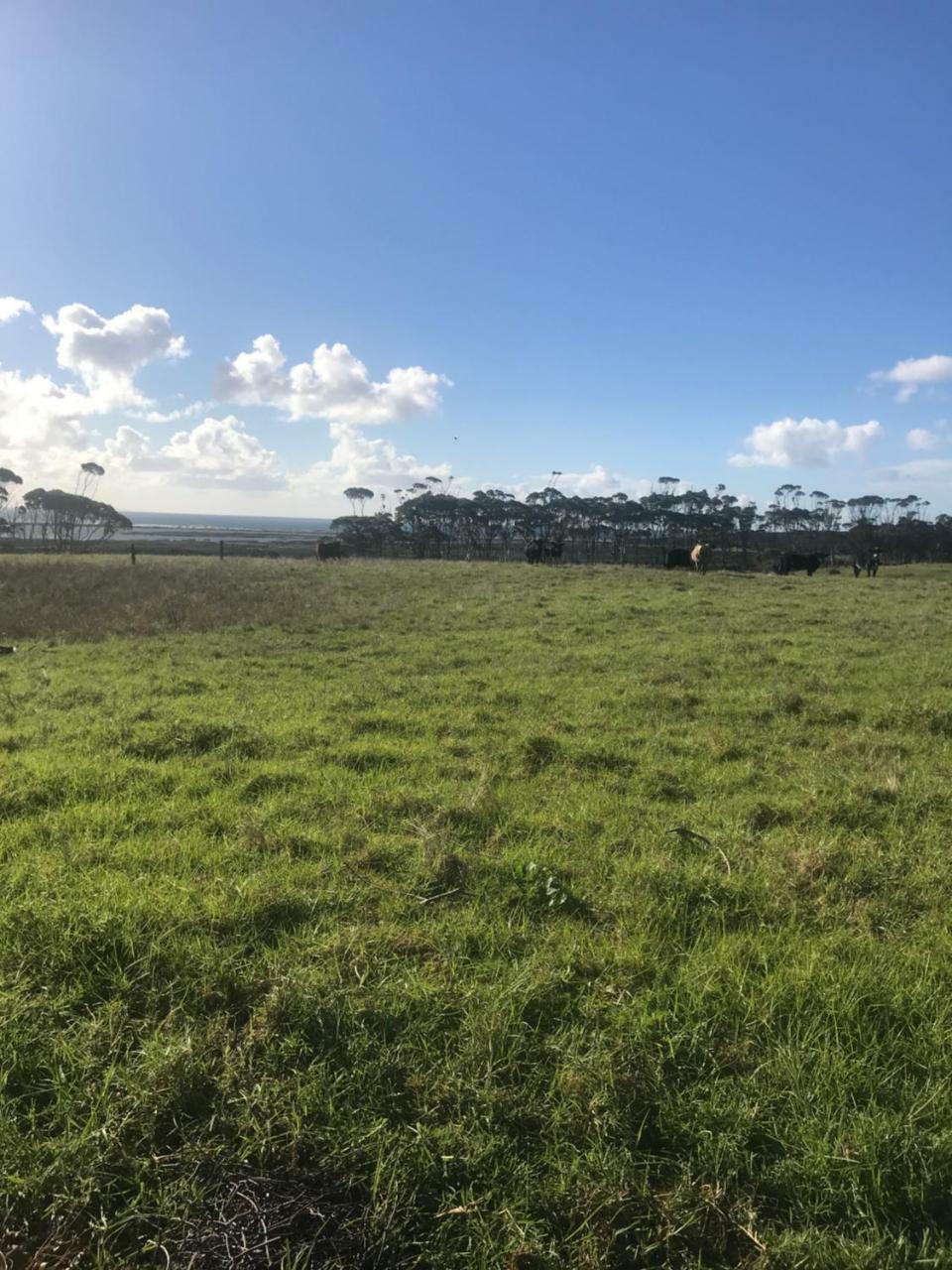 Karikari Lodge Tokerau Beach 외부 사진